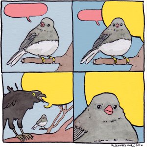 Oiseau Birds Speak Loud